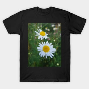 Beautiful Summer Flowers T-Shirt